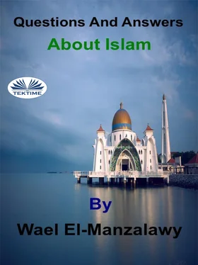 El-Manzalawy Wael Questions And Answers About Islam обложка книги