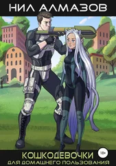 Нил Алмазов - Кошкодевочки для домашнего пользования. Книга 1