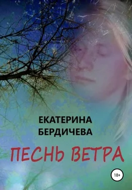 Екатерина Бердичева Песнь ветра обложка книги