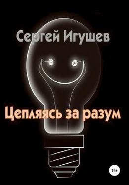 Сергей Игушев Цепляясь за разум обложка книги