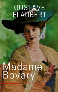 Reading Time Madame Bovary обложка книги