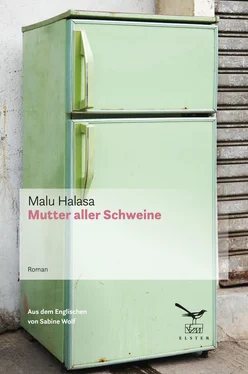 Malu Halasa Mutter aller Schweine обложка книги