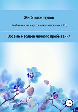 Жигб Бикжитулов Реабилитация нарко- и алкозависимых в РЦ. Восемь месяцев личного пребывания обложка книги