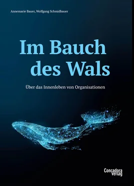 Annemarie Bauer Im Bauch des Wals обложка книги