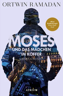 Ortwin Ramadan Moses und das Mädchen im Koffer обложка книги