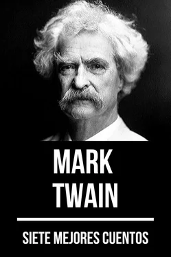 August Nemo 7 mejores cuentos de Mark Twain обложка книги