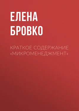 Елена Бровко Краткое содержание «Микроменеджмент» обложка книги