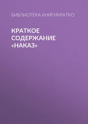 Библиотека КнигиКратко - Краткое содержание «Наказ»