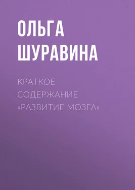Ольга Шуравина Краткое содержание «Развитие мозга» обложка книги