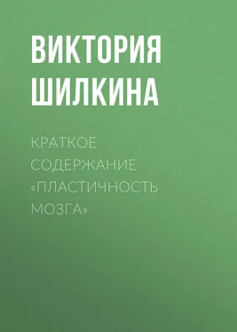 Виктория Шилкина Краткое содержание «Пластичность мозга» обложка книги
