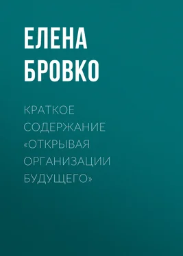 Елена Бровко Краткое содержание «Открывая организации будущего» обложка книги