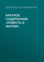 Библиотека КнигиКратко - Краткое содержание «Повесть о житии»