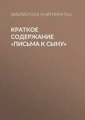 Библиотека КнигиКратко - Краткое содержание «Письма к сыну»