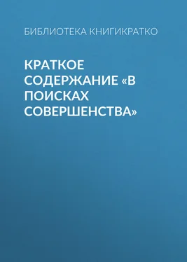 Библиотека КнигиКратко Краткое содержание «В поисках совершенства» обложка книги