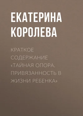 Екатерина Королева Краткое содержание «Тайная опора. Привязанность в жизни ребенка» обложка книги