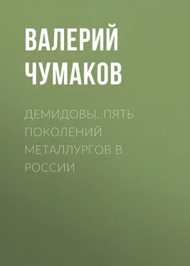 Валерий Чумаков Демидовы. Пять поколений металлургов в России обложка книги