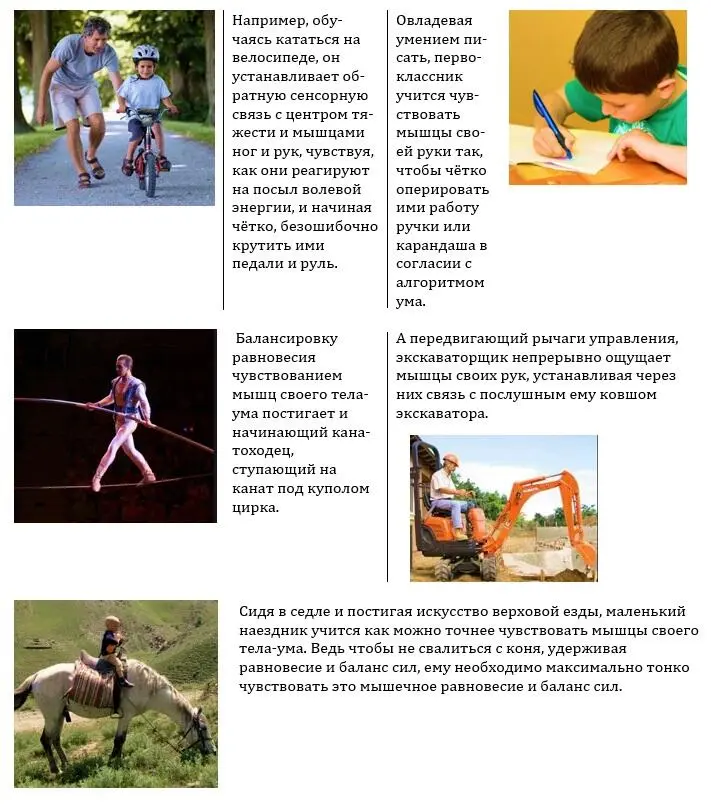 В зависимости от того чем какой частью телаума должна совершаться - фото 11