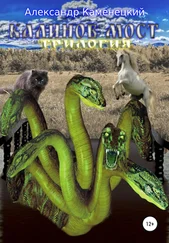 Александр Каменецкий - Калинов мост. Трилогия