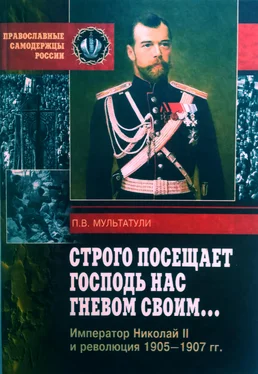 Петр Мультатули Строго посещает Господь нас гневом своим… Император Николай II и революция 1905-1907 гг обложка книги