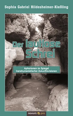 Sophia Gabriel Hildesheimer-Kießling Der lautlose Schrei обложка книги