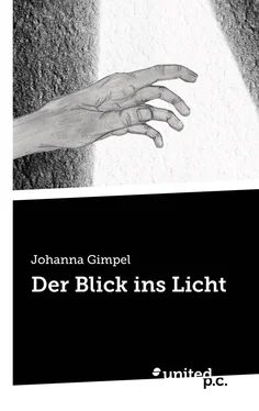 Johanna Gimpel Der Blick ins Licht обложка книги