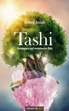 Arobed Assiah Tashi обложка книги