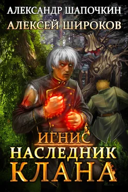 Алексей Широков Наследник клана обложка книги