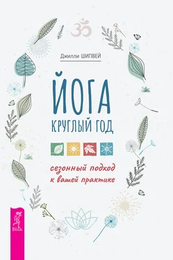 Джилли Шипвей Йога круглый год: сезонный подход к вашей практике обложка книги