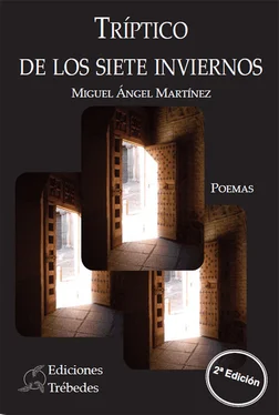 Miguel Ángel Martínez López Tríptico de los siete inviernos обложка книги