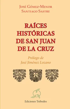 José Carlos Gómez-Menor Fuentes Raices históricas de san Juan de la Cruz обложка книги