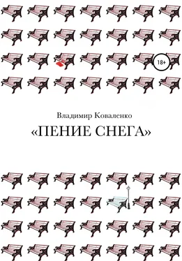 Владимир Коваленко Пение снега обложка книги