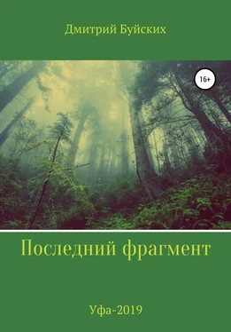 Дмитрий Буйских Последний фрагмент обложка книги