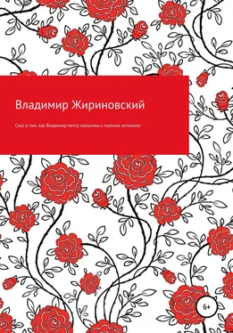 Владимир Жириновский Сказ о том, как Владимир мечту мальчика-с-пальчик исполнил обложка книги