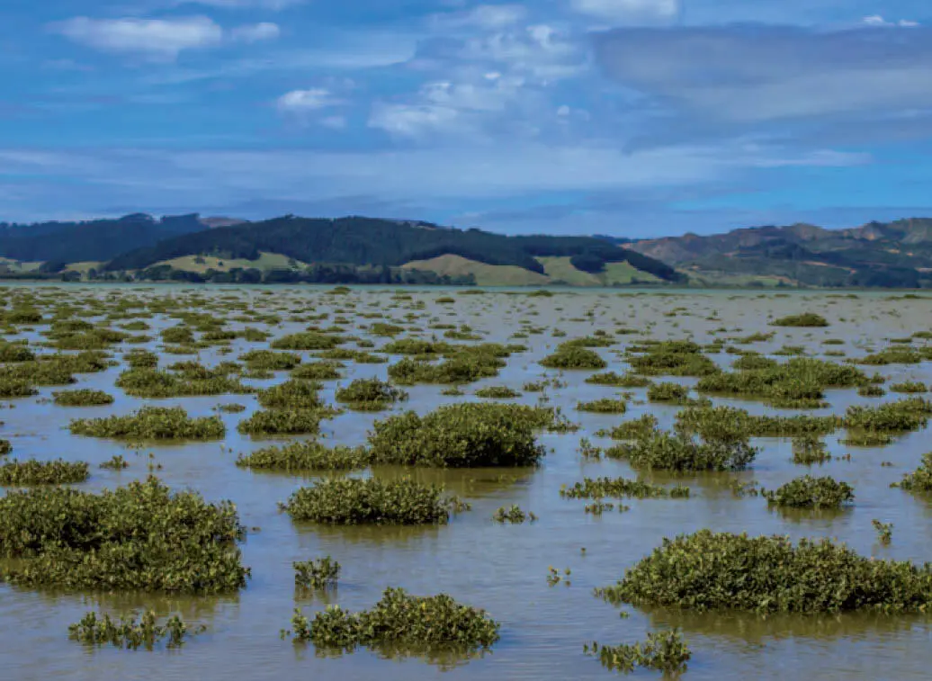 wwwfotoliade creativenaturenl Das Wasser gestaltet die Landschaft im - фото 327