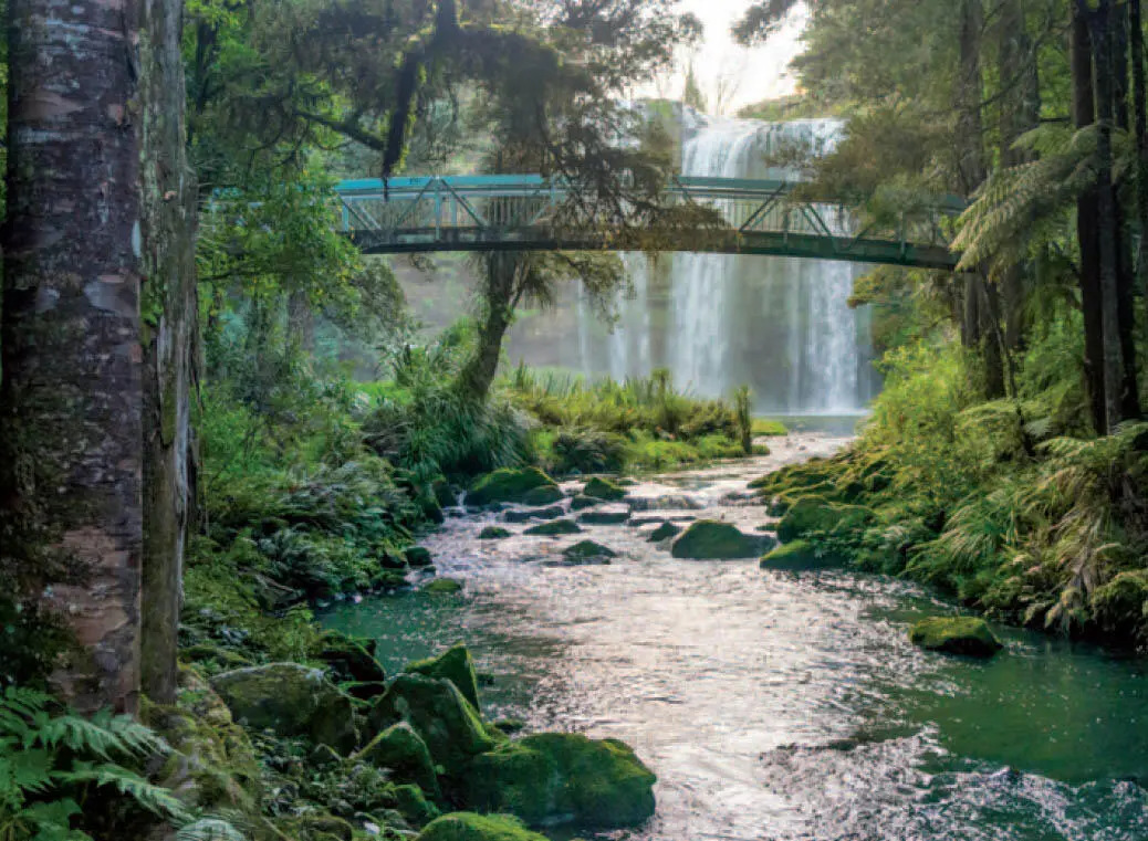 wwwfotoliade Martin Capek Märchenhaft die Whangarei Falls Auf den 26 Hektar - фото 203