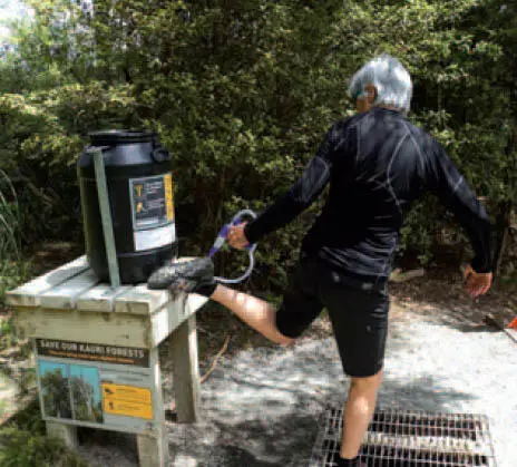 135nz no Desinfektion zum Schutz der Bäume vor der Kauri Dieback Disease Kauri - фото 342