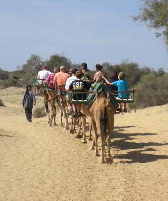 206gc sg TouriKarawane im TamariskenWald Preiswert essen Jeden Freitag gibt - фото 99