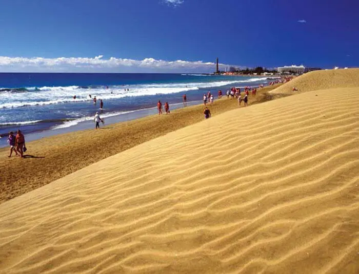 155gc pt Ideal für Strandläufer Strand und Dünen von Maspalomas El Oasis - фото 85