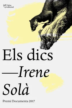 Irene Solà Els dics обложка книги