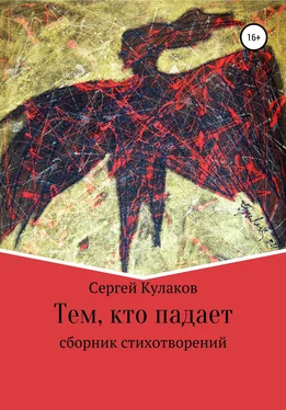 Сергей Кулаков Тем, кто падает обложка книги