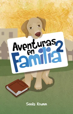 Sonia Krumm Aventuras en familia 2 обложка книги