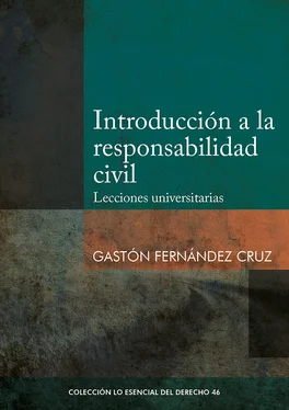 Gastón Fernández Introducción a la responsabilidad civil обложка книги