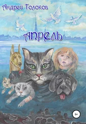 Андрей Толоков - Апрель