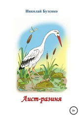 Николай Бутенко - Аист-разиня