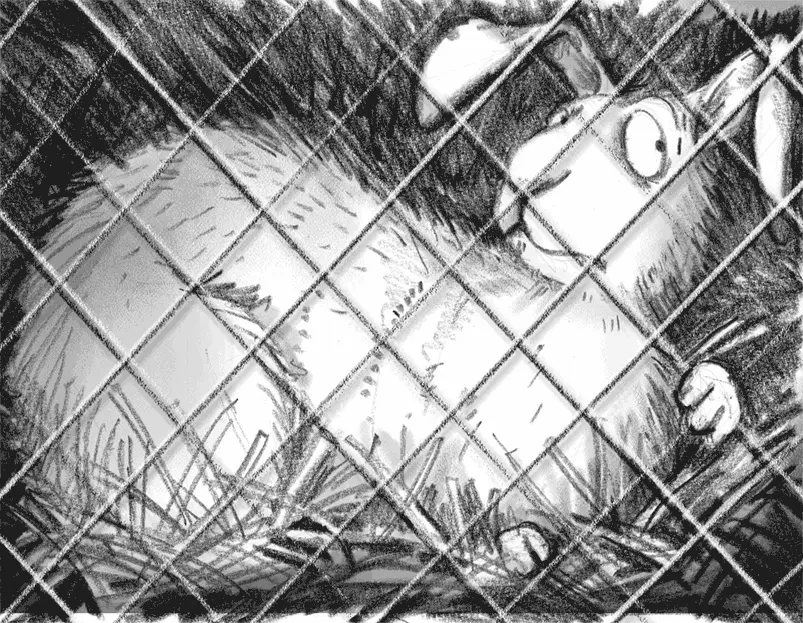 Тебе бы понравилось сидеть в клетке спросила Кало Лежать на соломе и - фото 4
