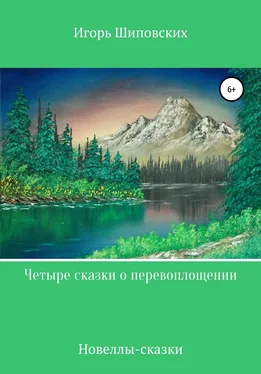 Игорь Шиповских Четыре сказки о перевоплощении обложка книги