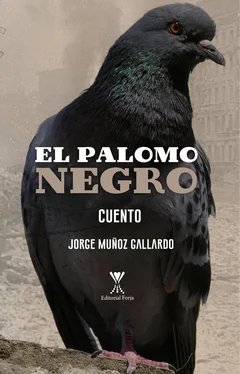 Jorge Muñoz Gallardo El palomo negro обложка книги