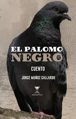 Jorge Muñoz Gallardo - El palomo negro