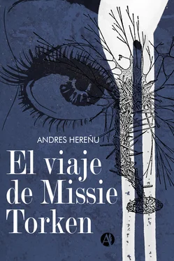 Andrés Hereñu El viaje de Missie Torken обложка книги