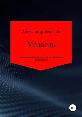 Александр Велесов Медведь обложка книги